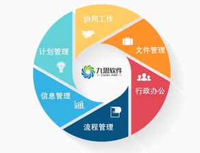 九思軟件王海波 靈感灼灼，在OA系統中“棲思”專業UI魔力